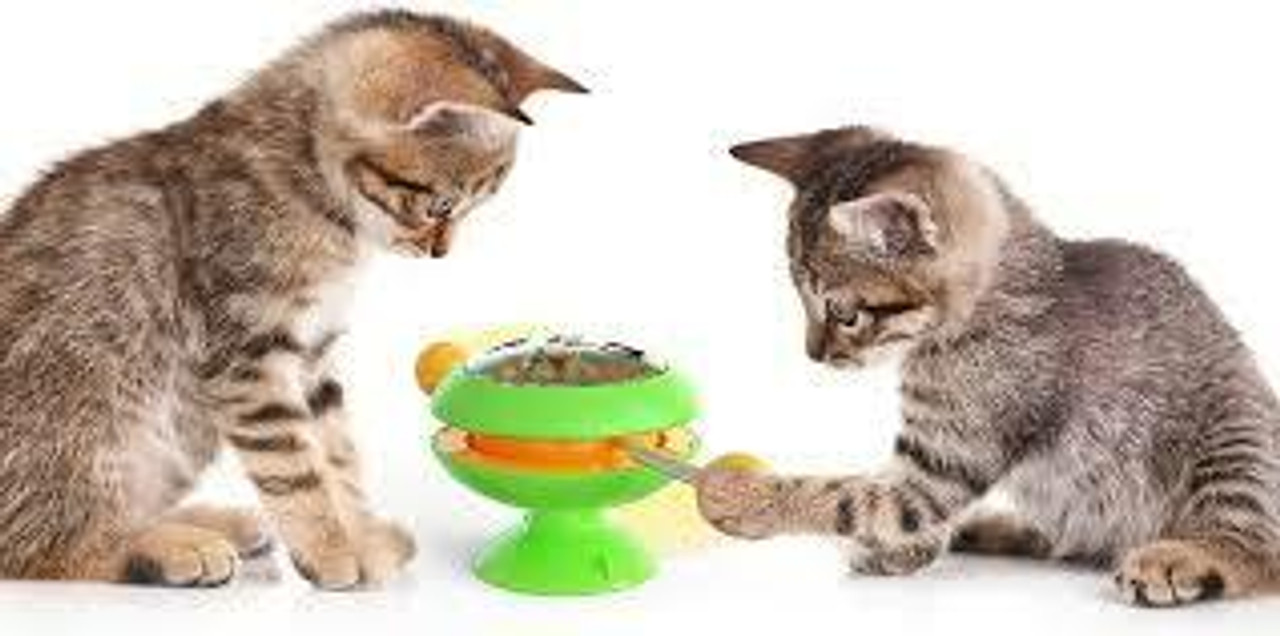 Catnip Toys